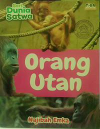 Image of Orang Utan